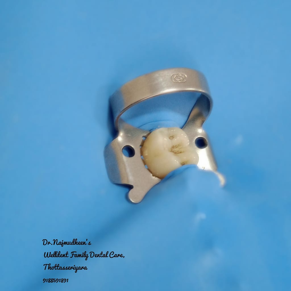WellDent Family Dental Care
